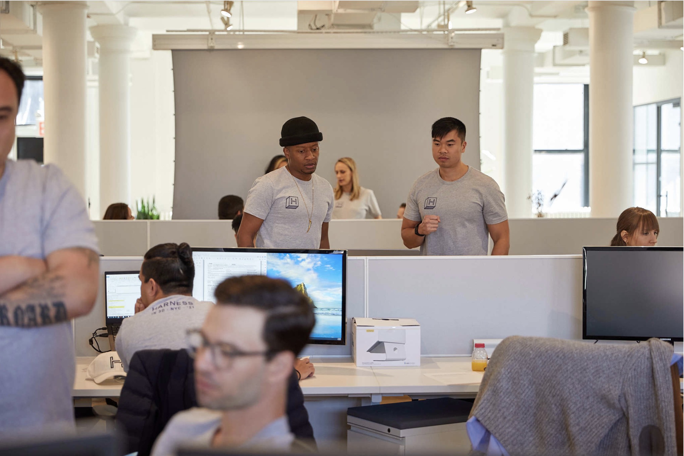 Harness Wealth Team in office