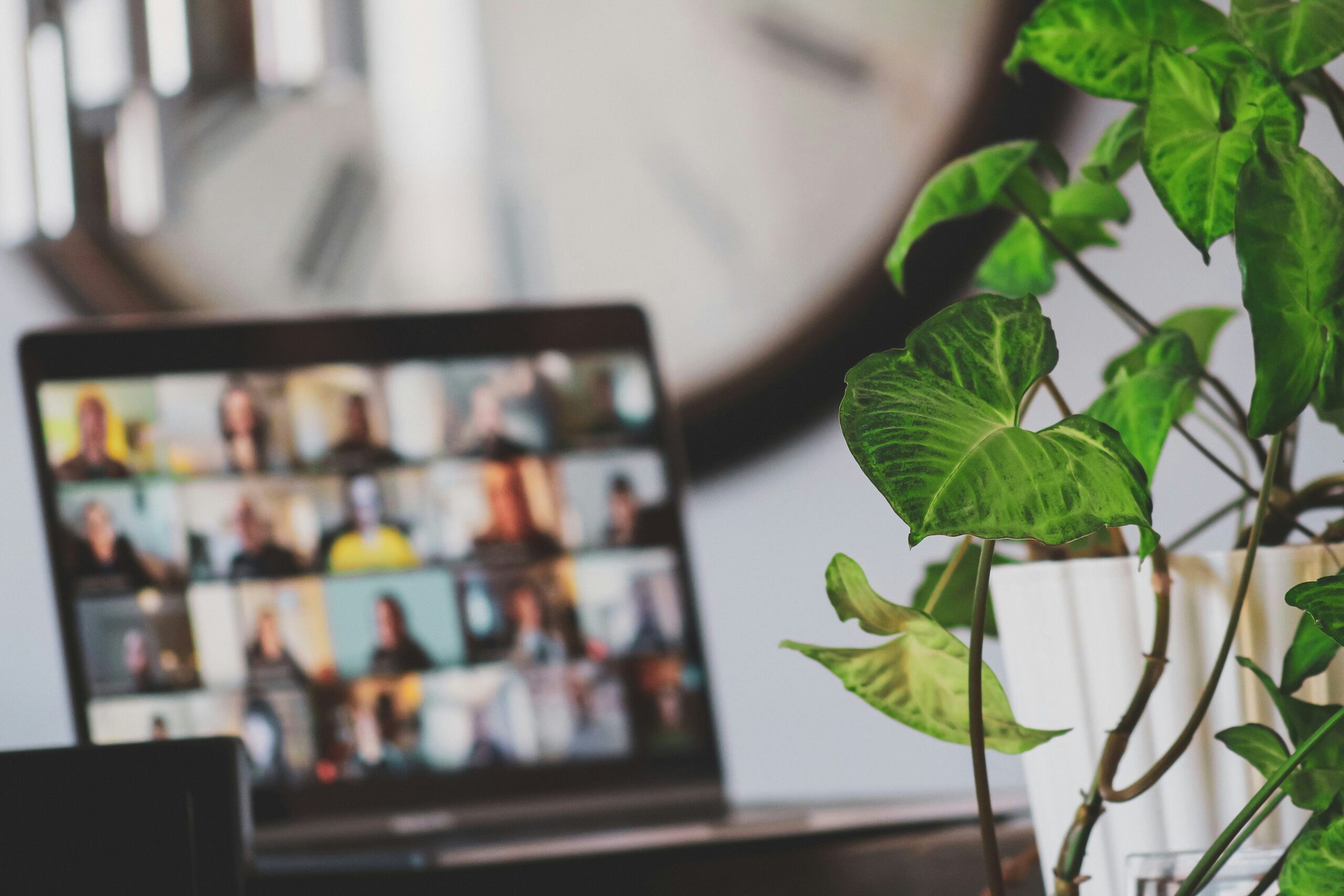 A laptop on a wooden desk next to a potted plant in a home office, symbolizing a remote work setup.