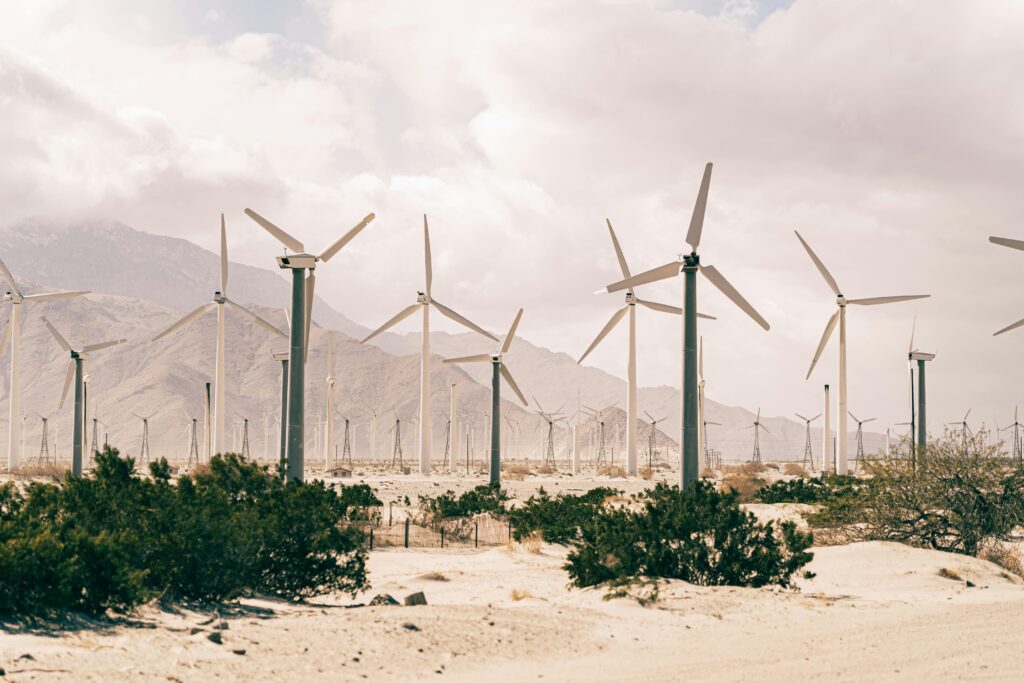A solar windfarm in the desert. Investment opportunities in clean energy and ESG-themed companies have exploded in the past decade.