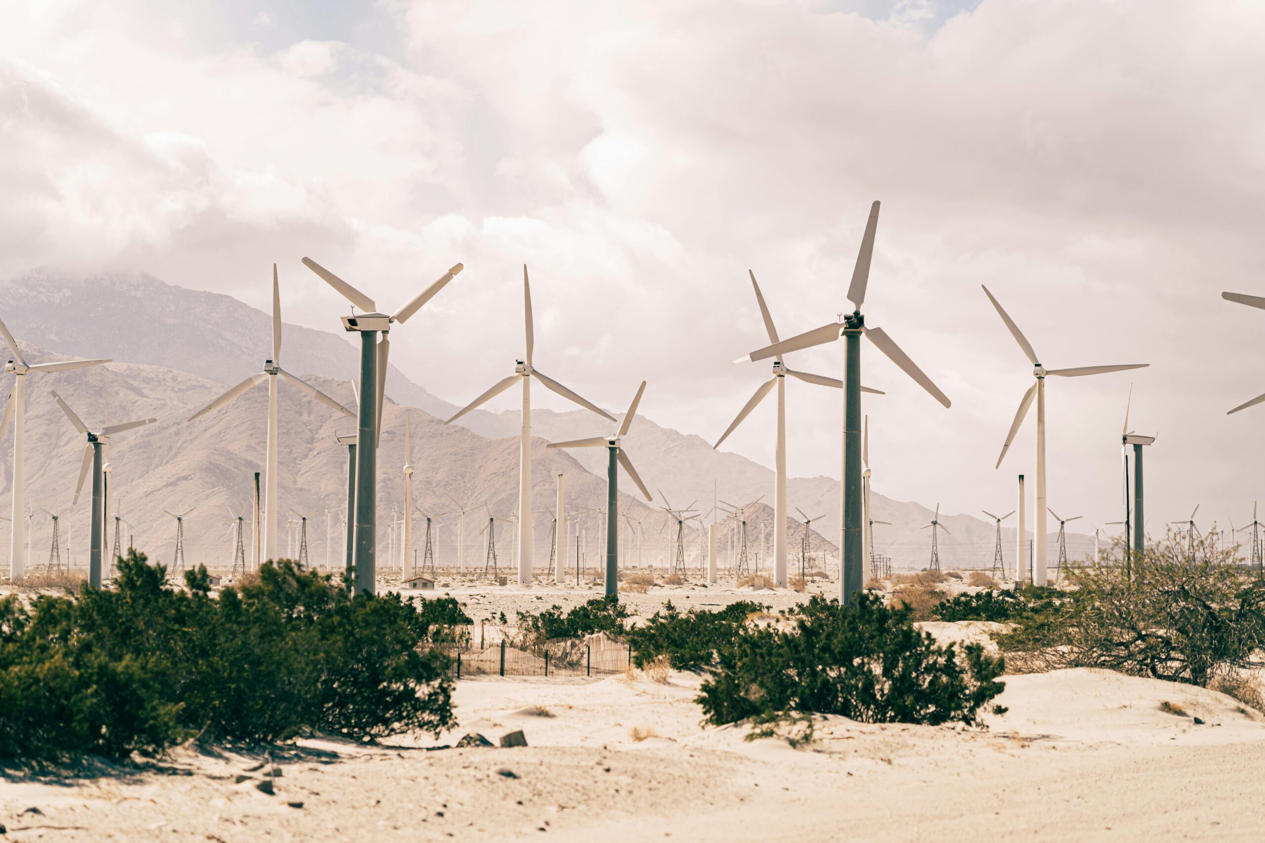 A solar windfarm in the desert. Investment opportunities in clean energy and ESG-themed companies have exploded in the past decade.