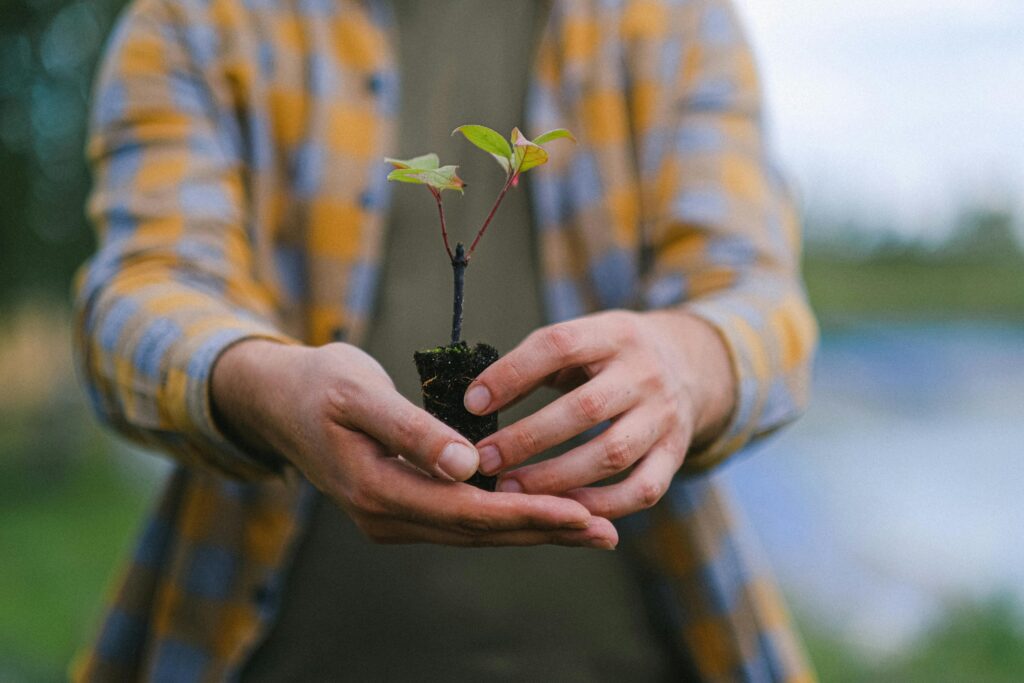 A close-up of hands gently holding a small plant, symbolizing long-term financial growth and the careful planning required to manage RMD taxes and preserve wealth during retirement.